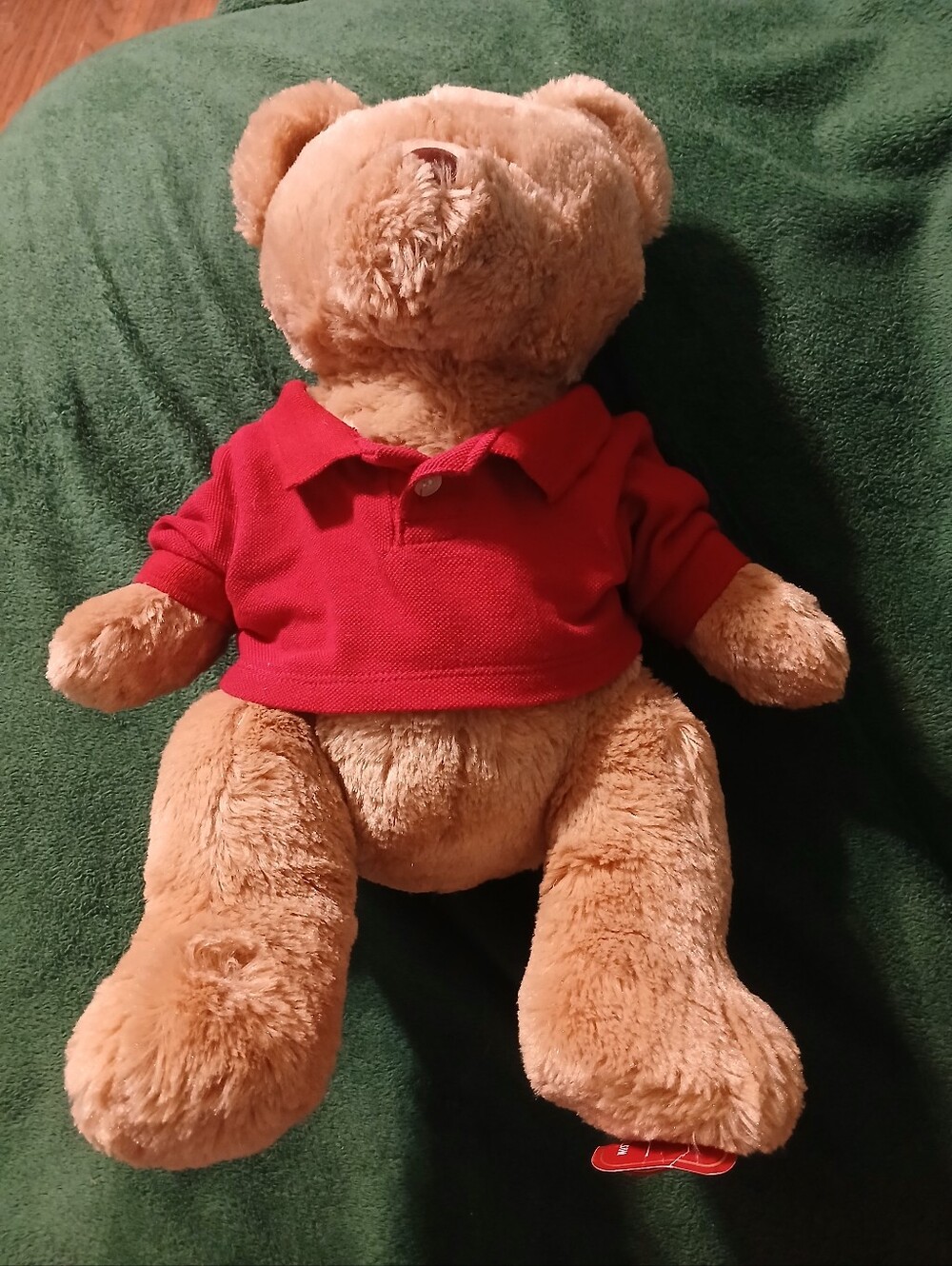 Aeropostale Holiday Teddy Bear